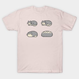 Cat Bread Loaf Evolution T-Shirt